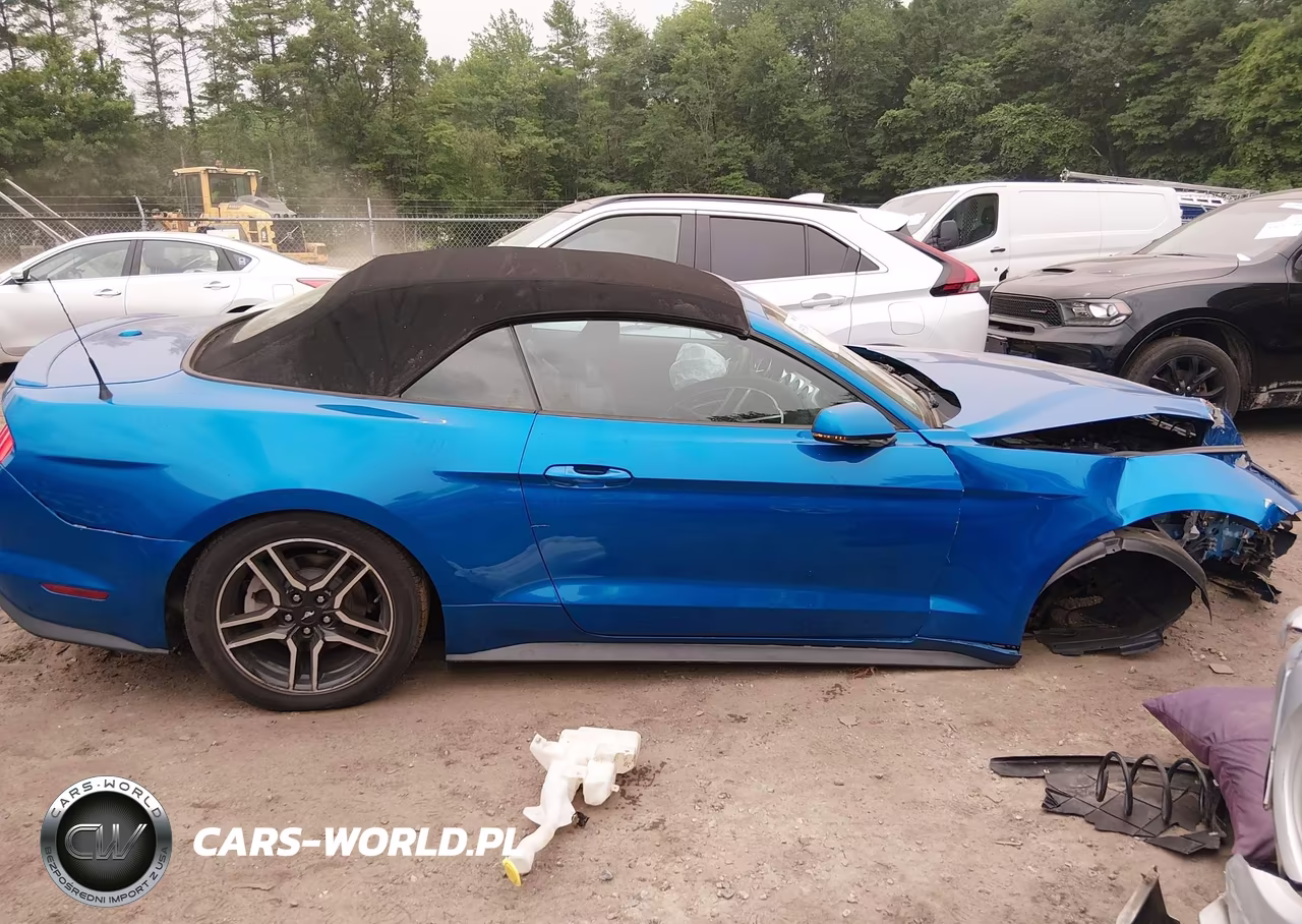 2019 Ford Mustang Ecoboost Premium VIN:1FATP8UH9K5115599 - 13