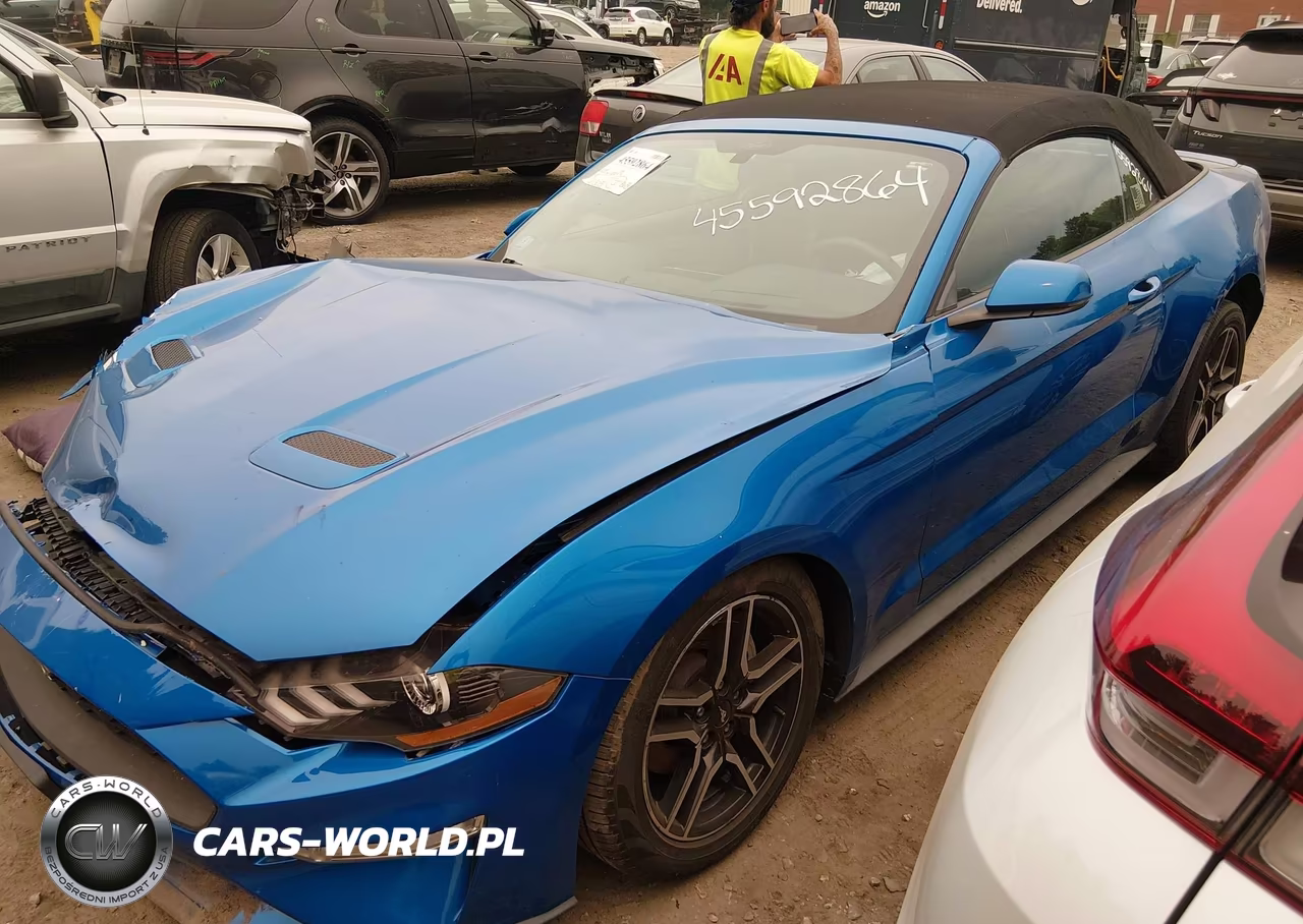 2019 Ford Mustang Ecoboost Premium VIN:1FATP8UH9K5115599 - 14