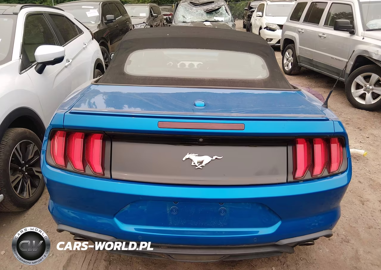 2019 Ford Mustang Ecoboost Premium VIN:1FATP8UH9K5115599 - 16
