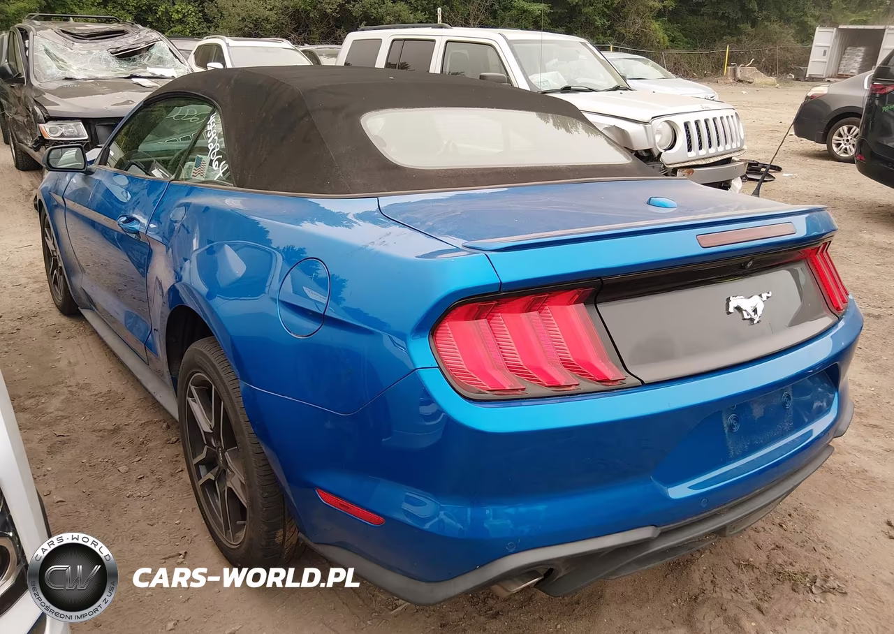 2019 Ford Mustang Ecoboost Premium VIN:1FATP8UH9K5115599 - 3