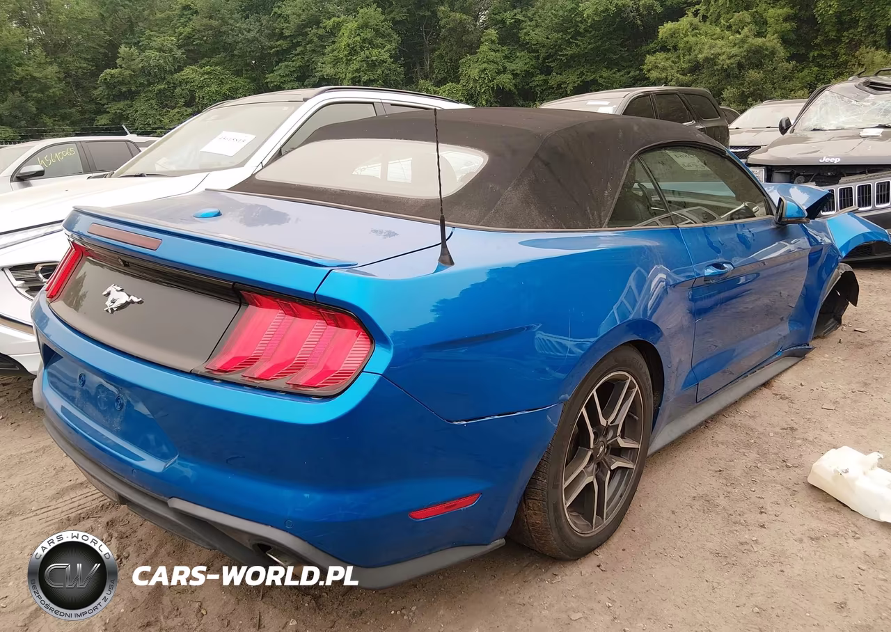 2019 Ford Mustang Ecoboost Premium VIN:1FATP8UH9K5115599 - 4