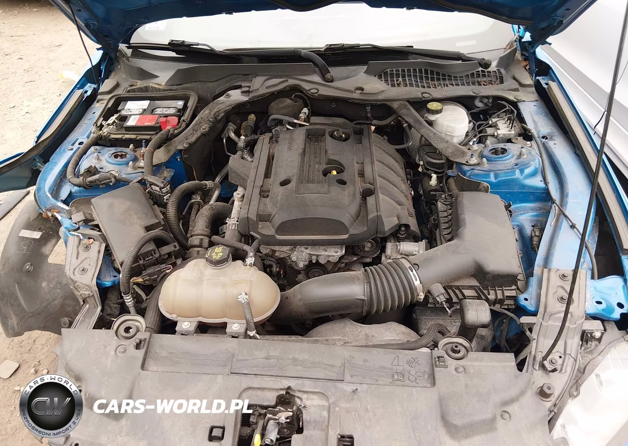 2019 Ford Mustang Ecoboost Premium VIN:1FATP8UH9K5115599 - 9