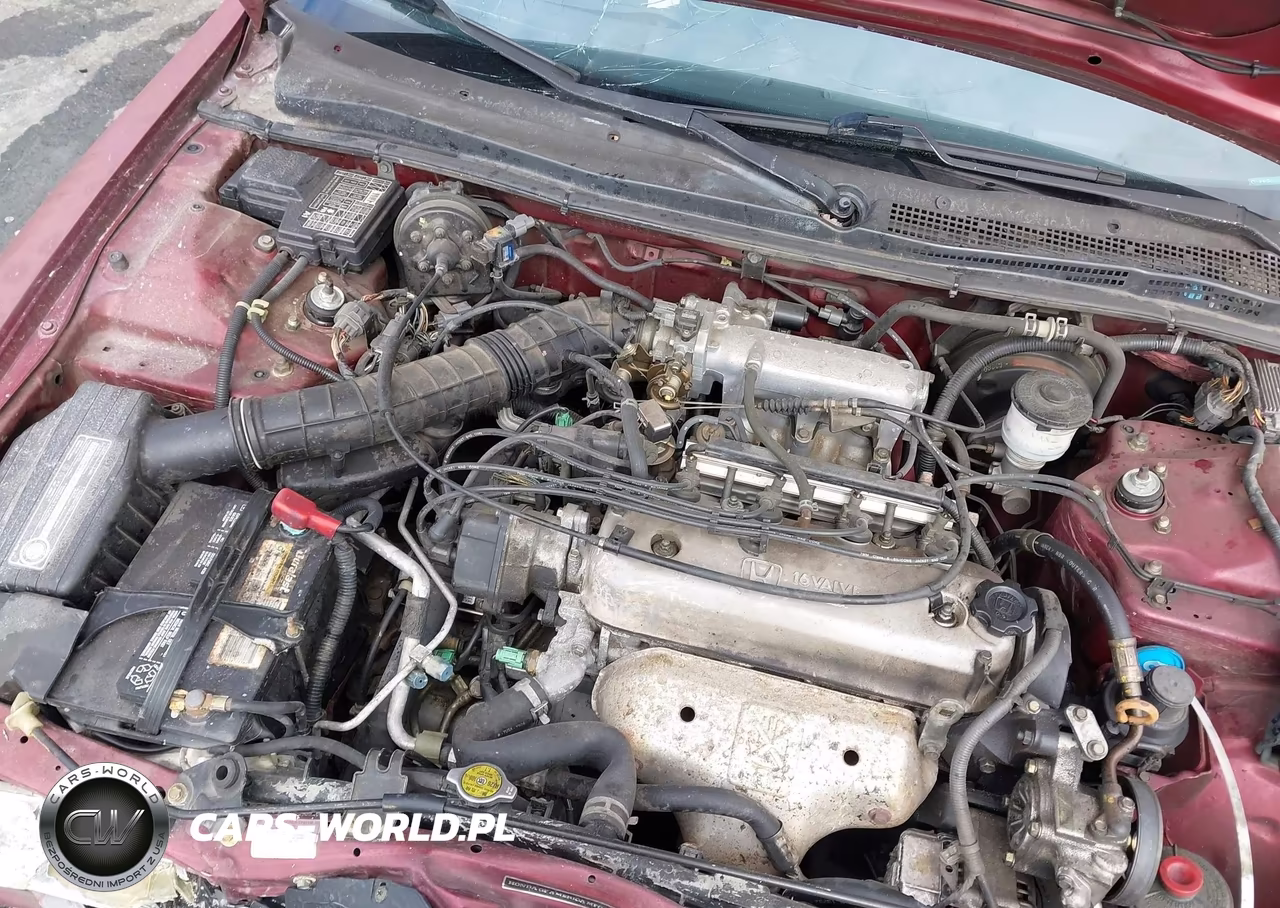 1995 Honda Accord Lx-Ex VIN:1HGCD5637SA163047 - 10