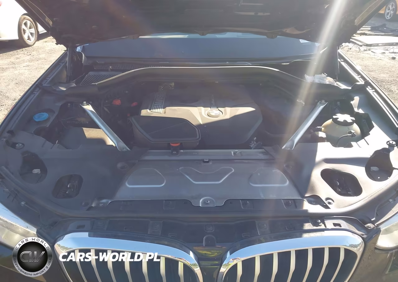 2019 BMW X3 Sdrive30I VIN:5UXTR7C53KLF29433 - 10