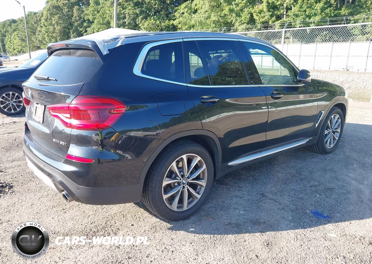 2019 BMW X3 Sdrive30I VIN:5UXTR7C53KLF29433 - 4