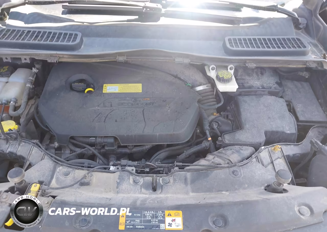 2014 Ford Escape Se VIN:1FMCU0GX5EUA28831 - 10