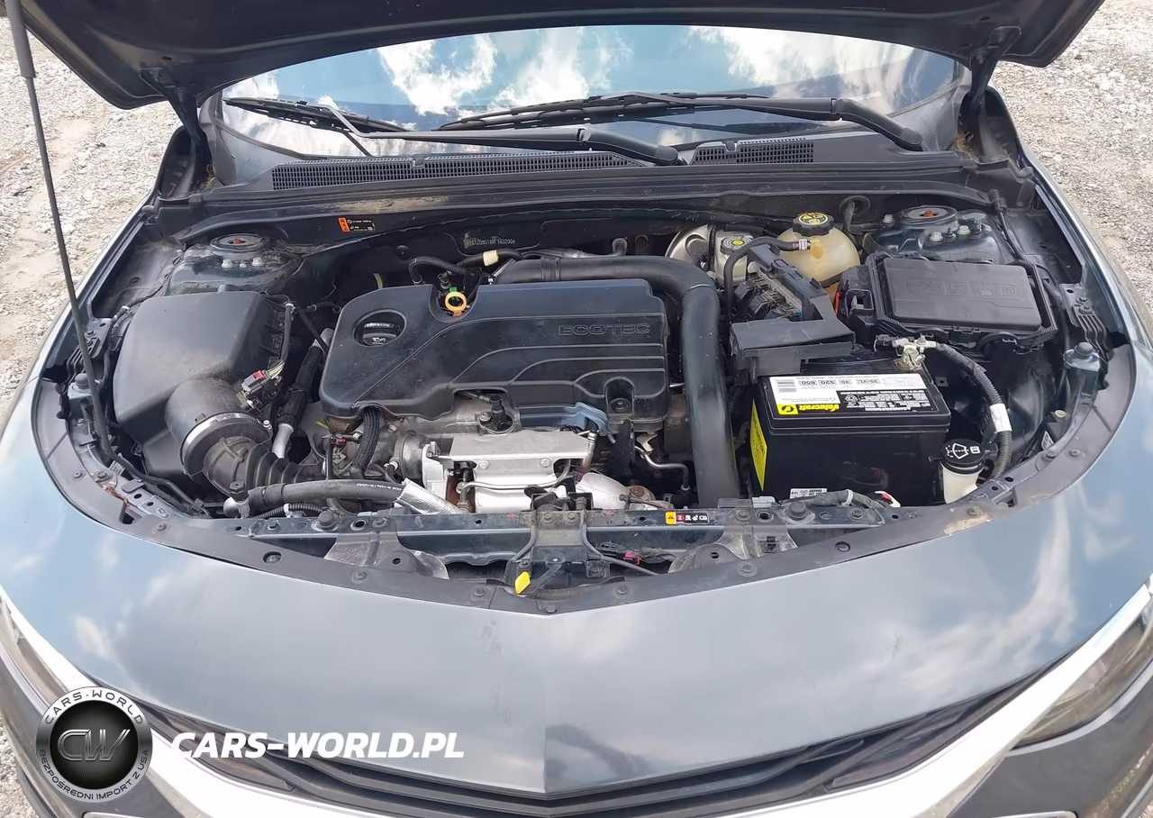 2019 Chevrolet Malibu Lt VIN:1G1ZD5ST8KF163200 - 10