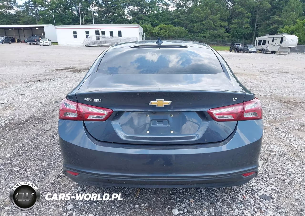 2019 Chevrolet Malibu Lt VIN:1G1ZD5ST8KF163200 - 16