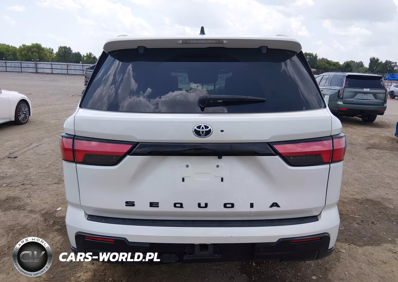 2023 Toyota Sequoia Platinum VIN:7SVAAABA4PX018280 - 16