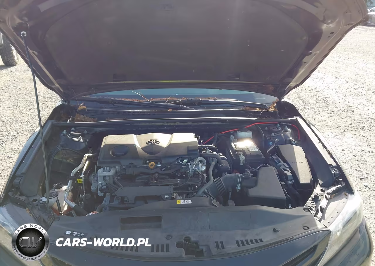 2021 Toyota Camry Se VIN:4T1G11AK5MU594161 - 10