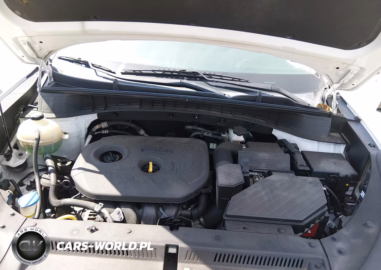 2016 Hyundai Tucson Se VIN:KM8J33A44GU209786 - 10