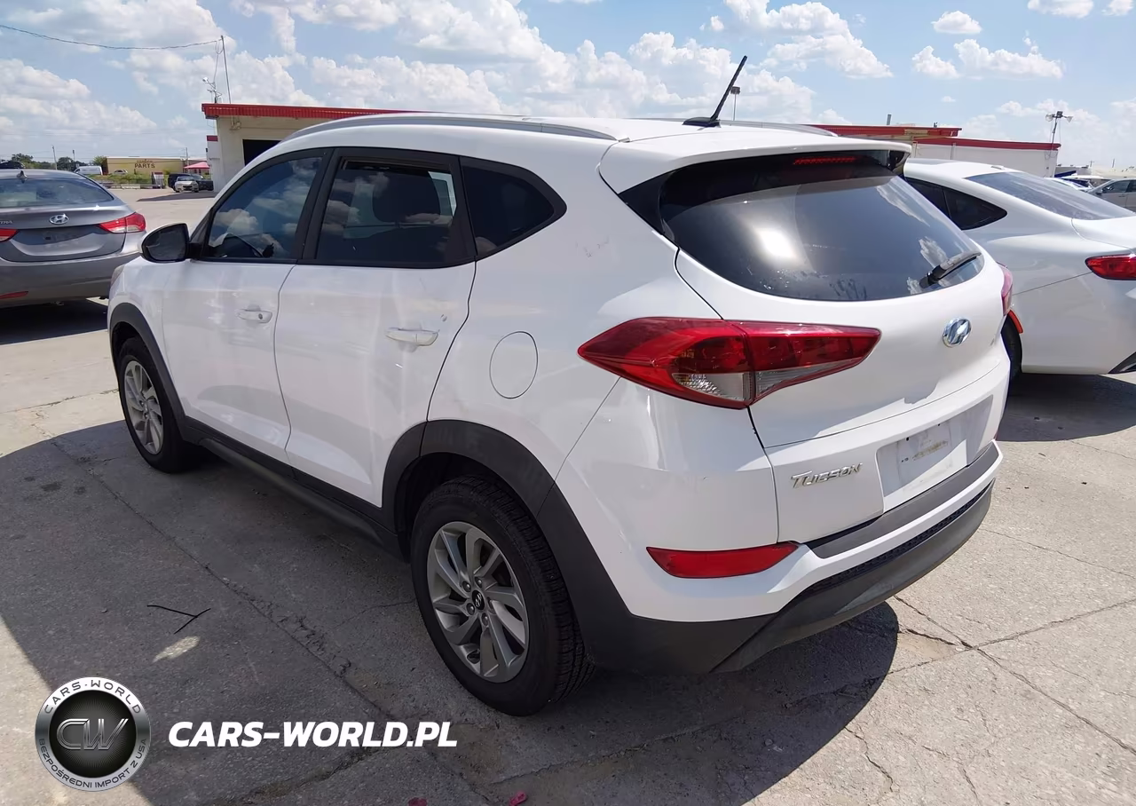 2016 Hyundai Tucson Se VIN:KM8J33A44GU209786 - 3