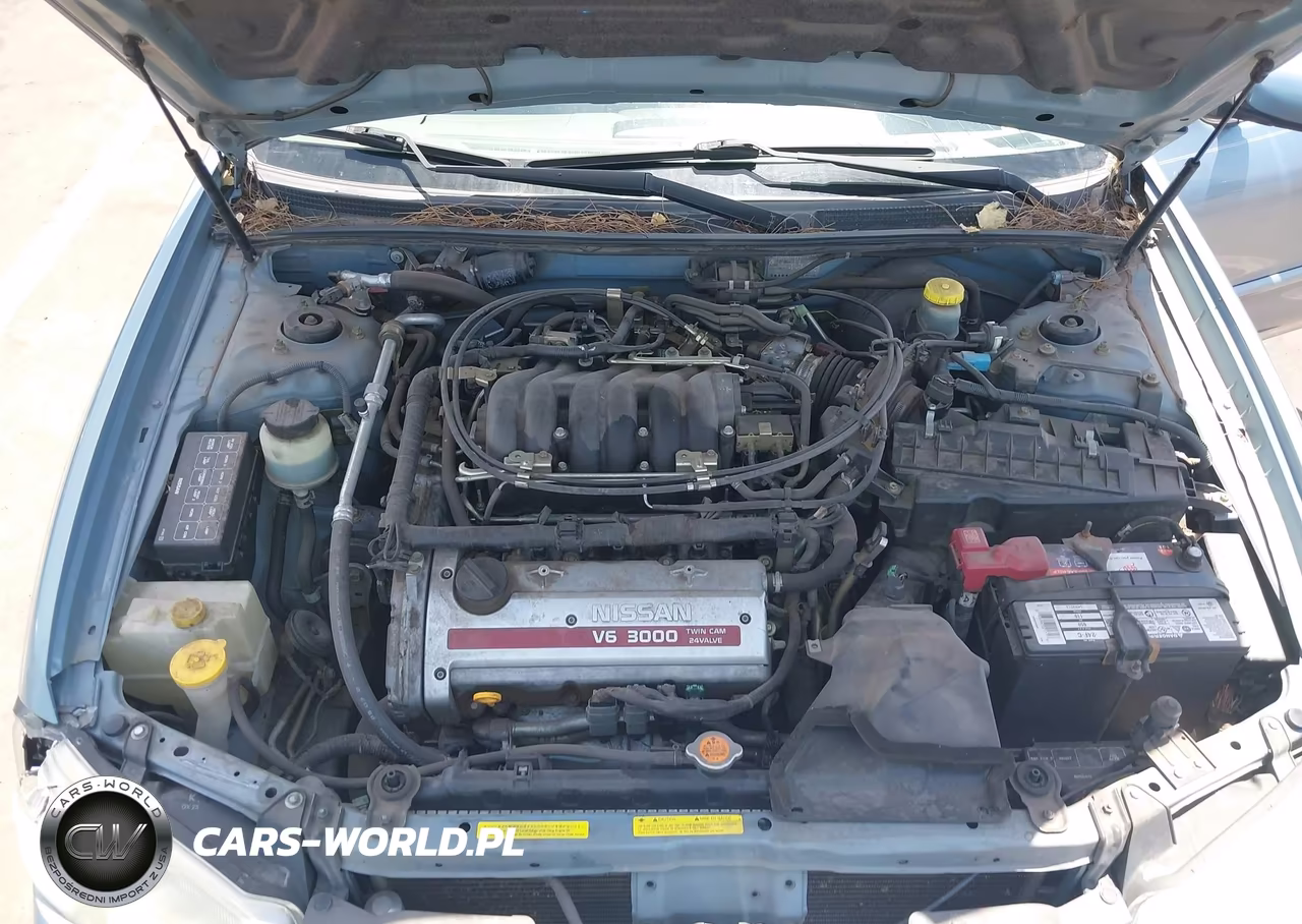 2001 Nissan Maxima Gxe VIN:JN1CA31D51T613554 - 10
