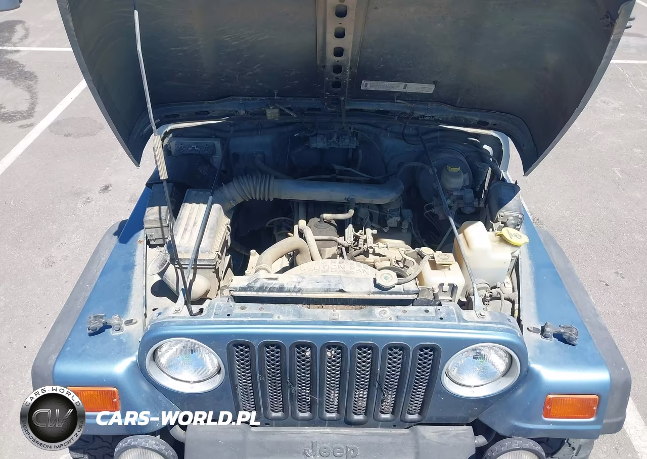 1999 Jeep Wrangler Sport VIN:1J4FY19S2XP408671 - 10