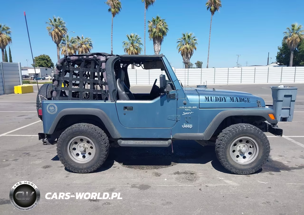1999 Jeep Wrangler Sport VIN:1J4FY19S2XP408671 - 13