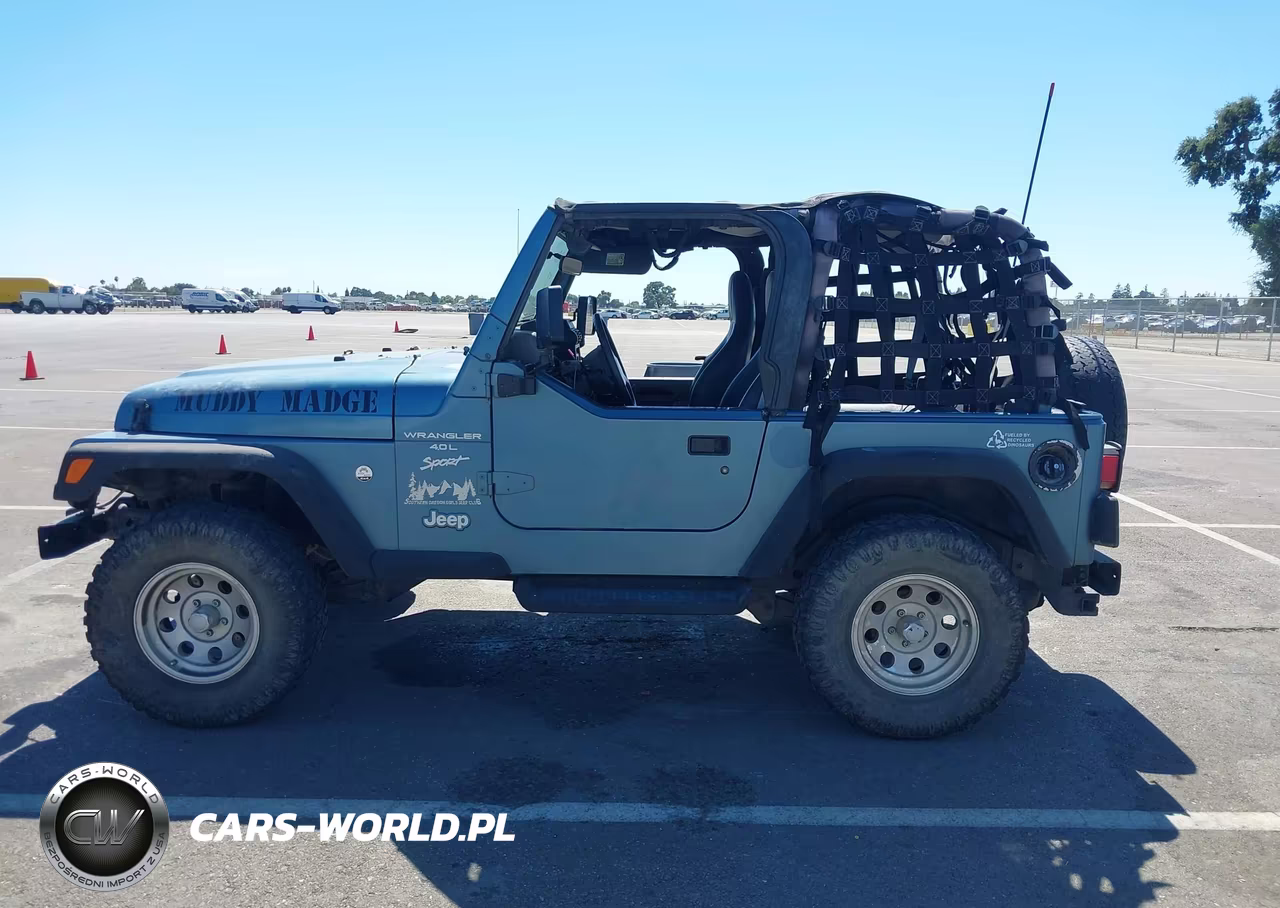 1999 Jeep Wrangler Sport VIN:1J4FY19S2XP408671 - 14