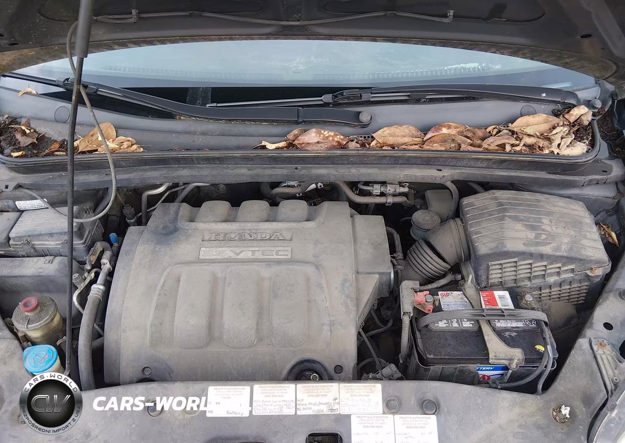 2006 Honda Odyssey Lx VIN:5FNRL38206B079766 - 10