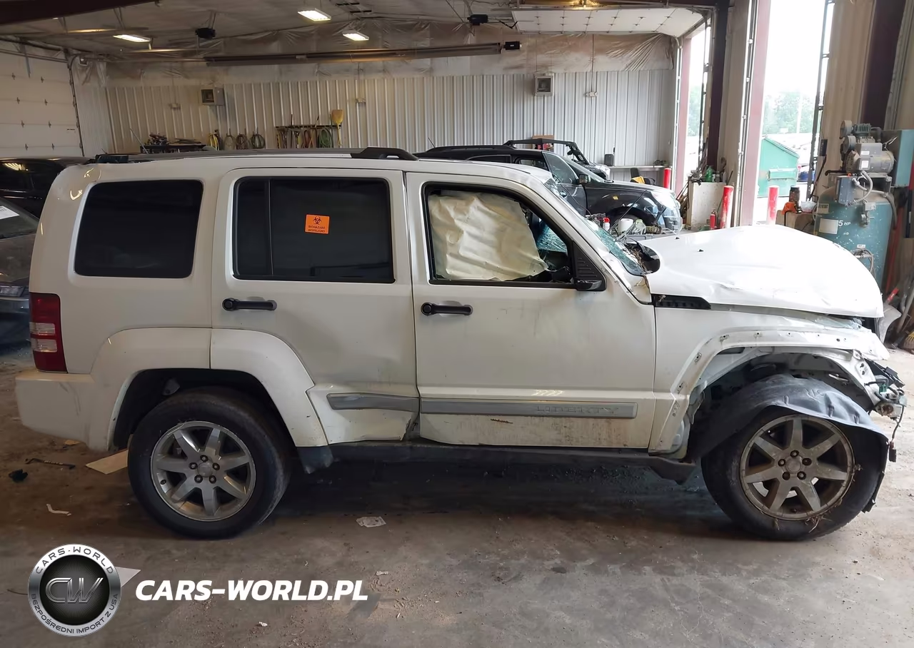 2010 Jeep Liberty Limited VIN:1J4PN5GK8AW176419 - 12