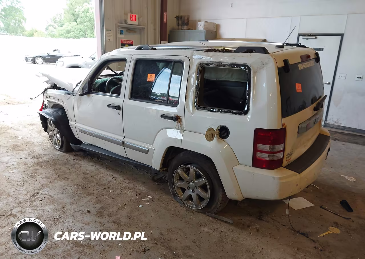 2010 Jeep Liberty Limited VIN:1J4PN5GK8AW176419 - 3