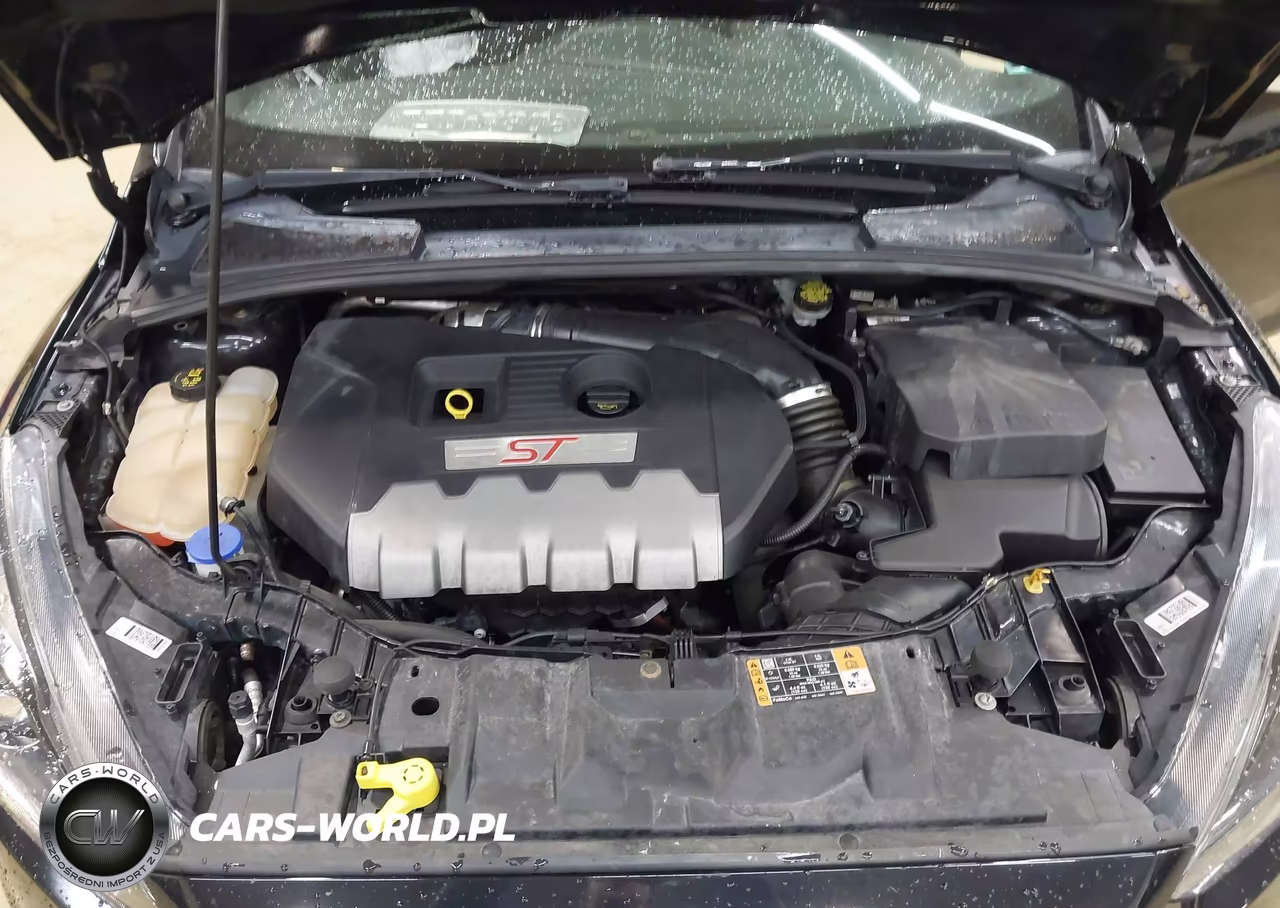 2018 Ford Focus St VIN:1FADP3L95JL225559 - 10