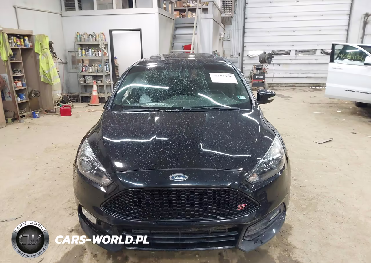 2018 Ford Focus St VIN:1FADP3L95JL225559 - 12