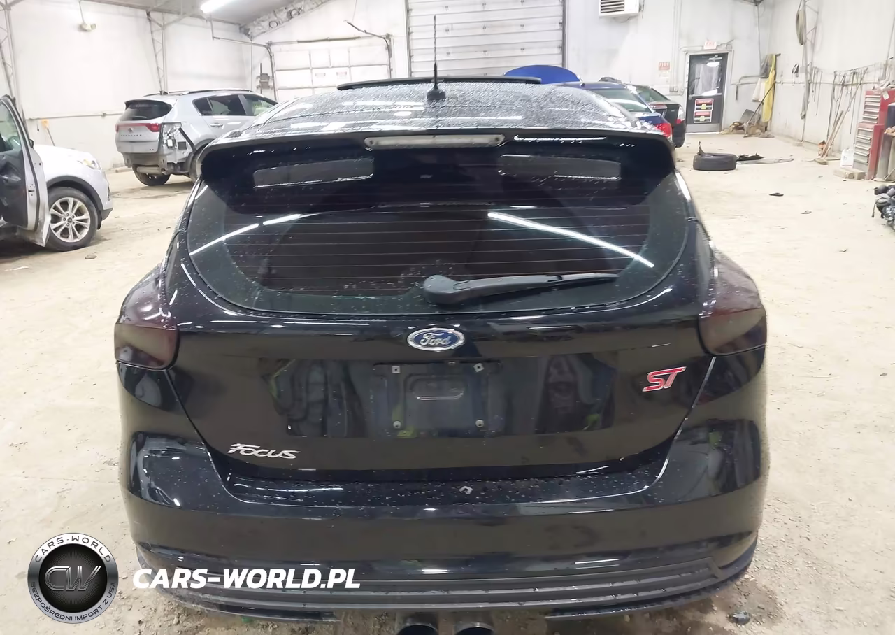 2018 Ford Focus St VIN:1FADP3L95JL225559 - 16