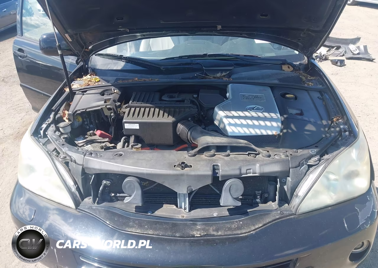 2006 Lexus Rx 400H VIN:JTJHW31U360030894 - 10