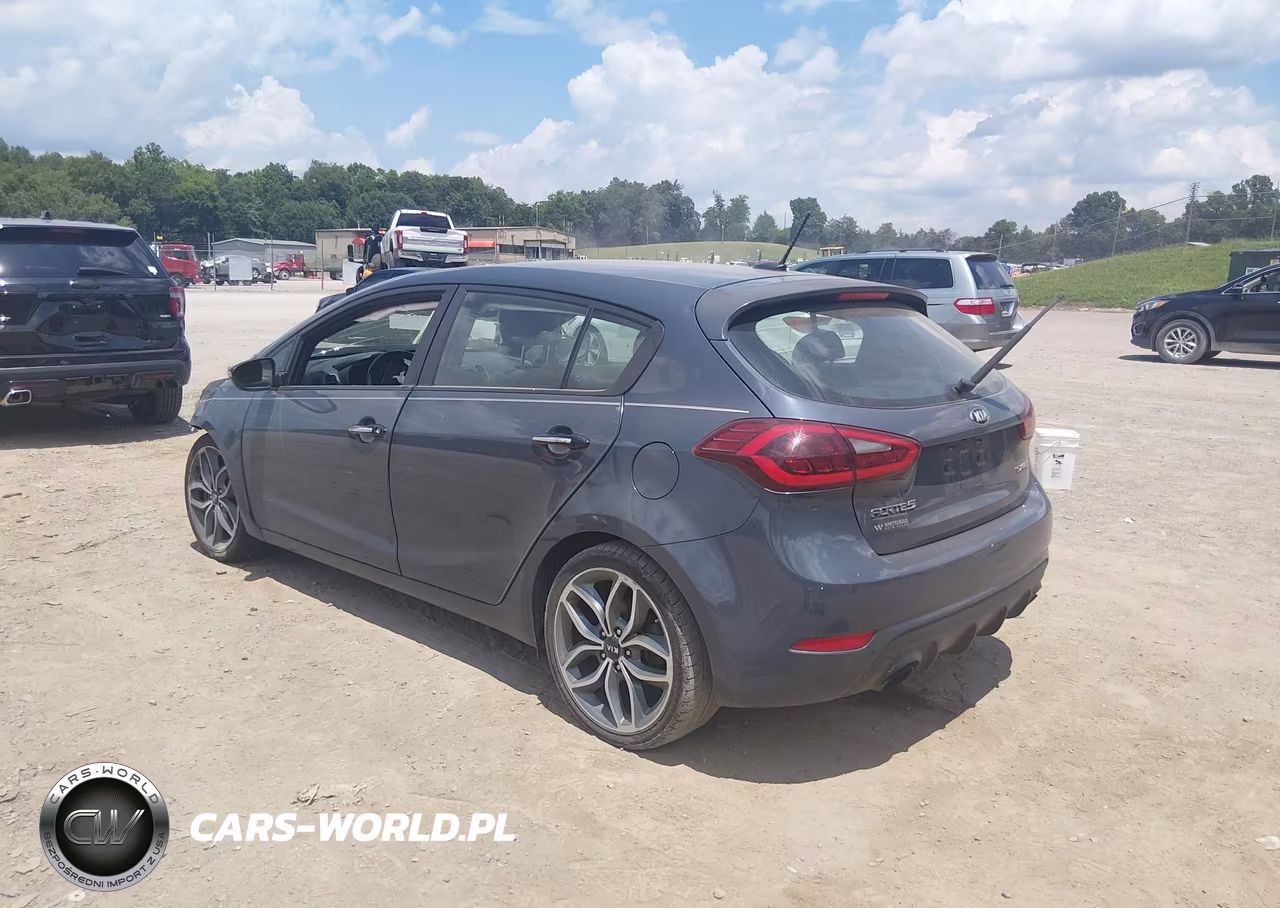 2016 Kia Forte Sx VIN:KNAFZ5A30G5636398 - 3