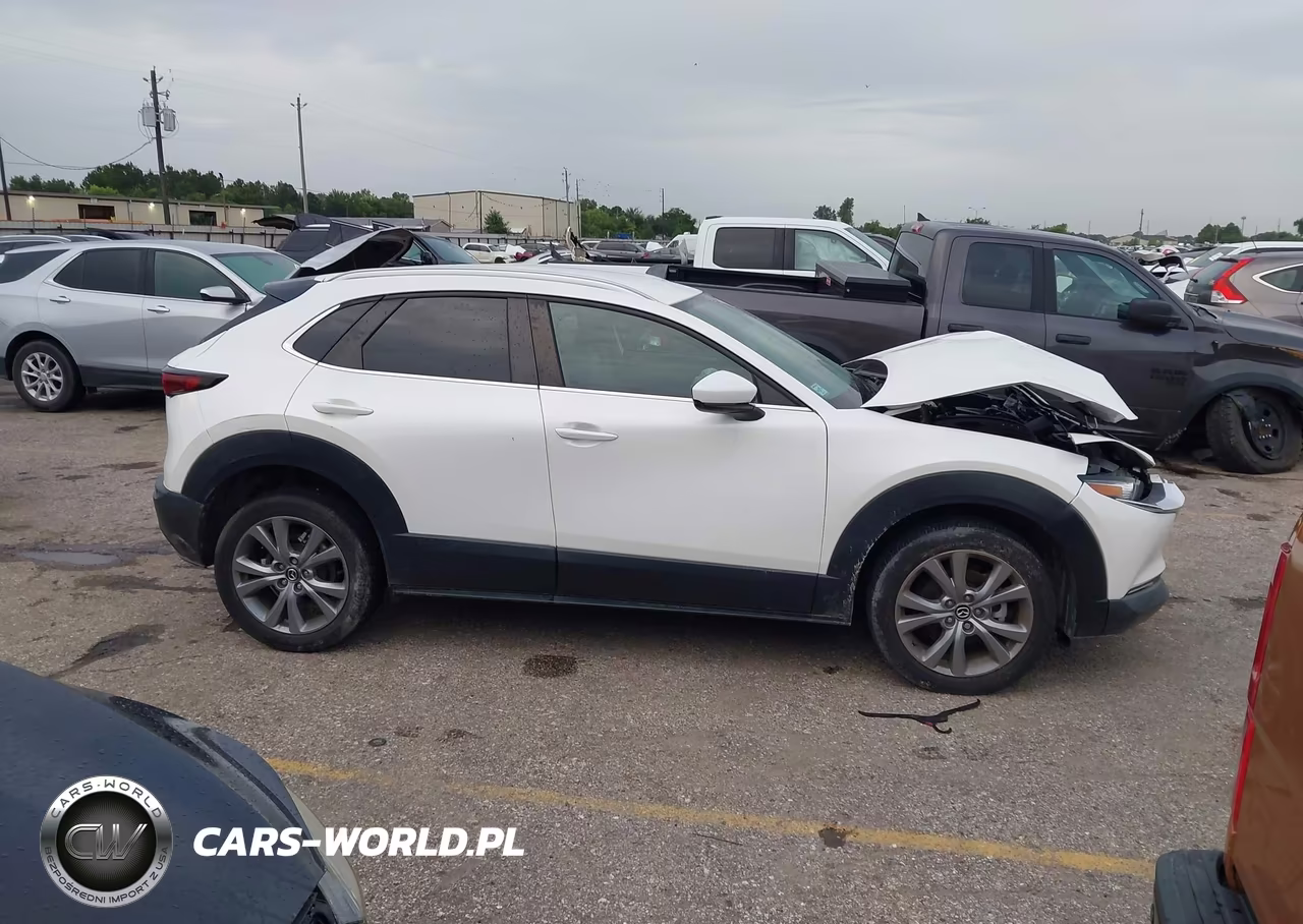 2022 Mazda Cx-30 Select VIN:3MVDMBBLXNM450718 - 13