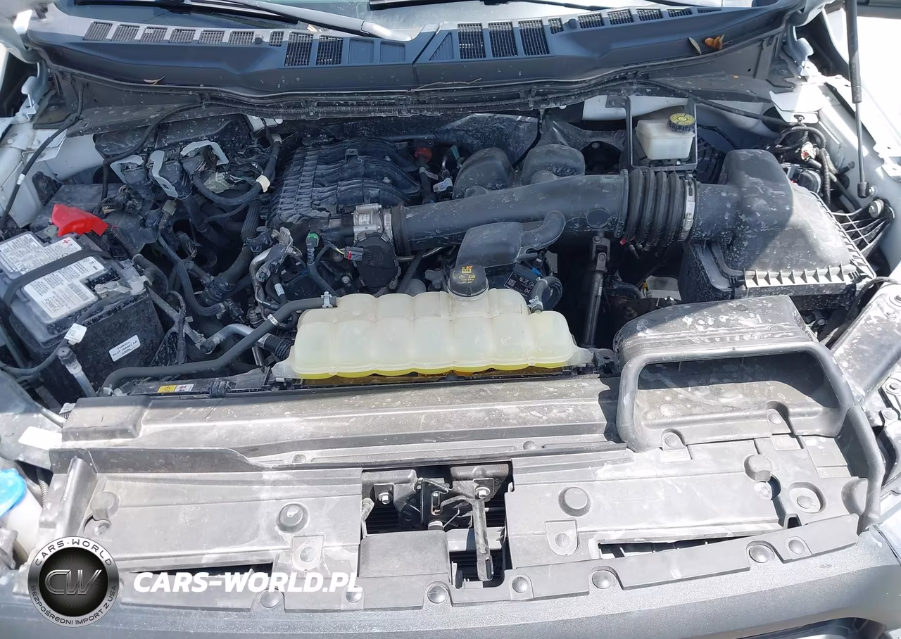 2023 Ford F-150 Xl VIN:1FTMF1CB0PKF69223 - 10