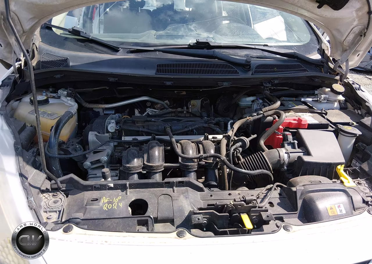 2013 Ford Fiesta Se VIN:3FADP4EJ2DM109820 - 10