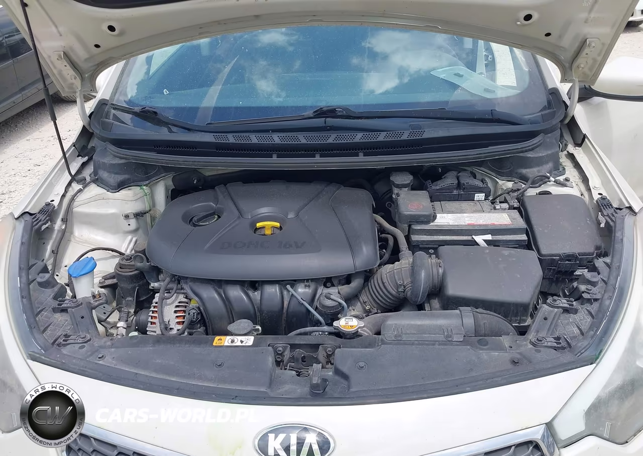 2015 Kia Forte Lx VIN:KNAFK4A64F5340467 - 10