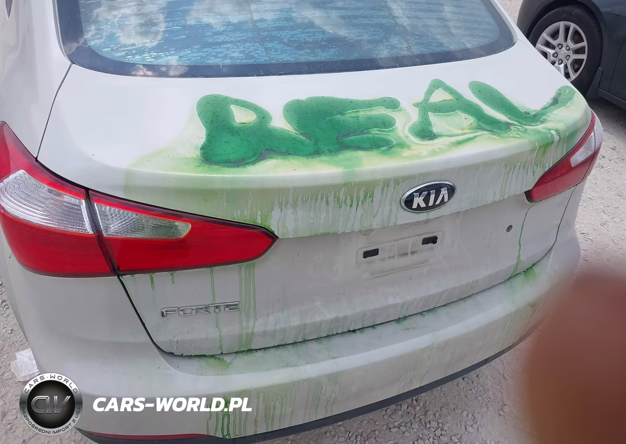 2015 Kia Forte Lx VIN:KNAFK4A64F5340467 - 13
