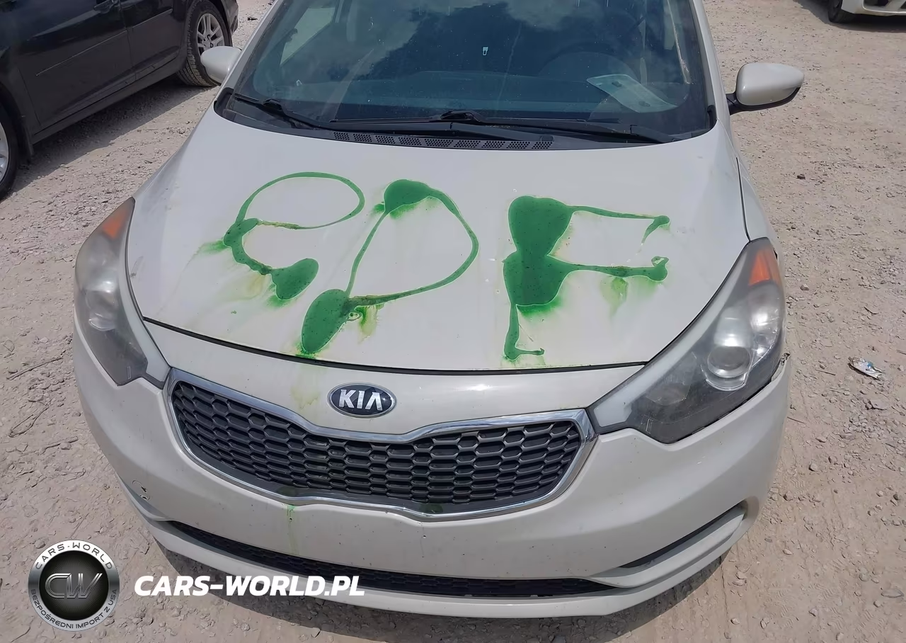 2015 Kia Forte Lx VIN:KNAFK4A64F5340467 - 6