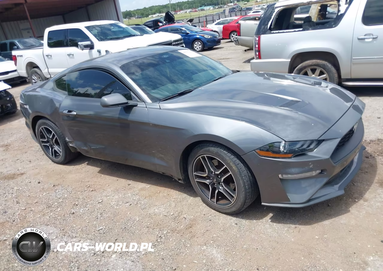 2021 Ford Mustang Ecoboost Fastback-Ecoboost Premium Fastback VIN:1FA6P8TH1M5107465 - 13