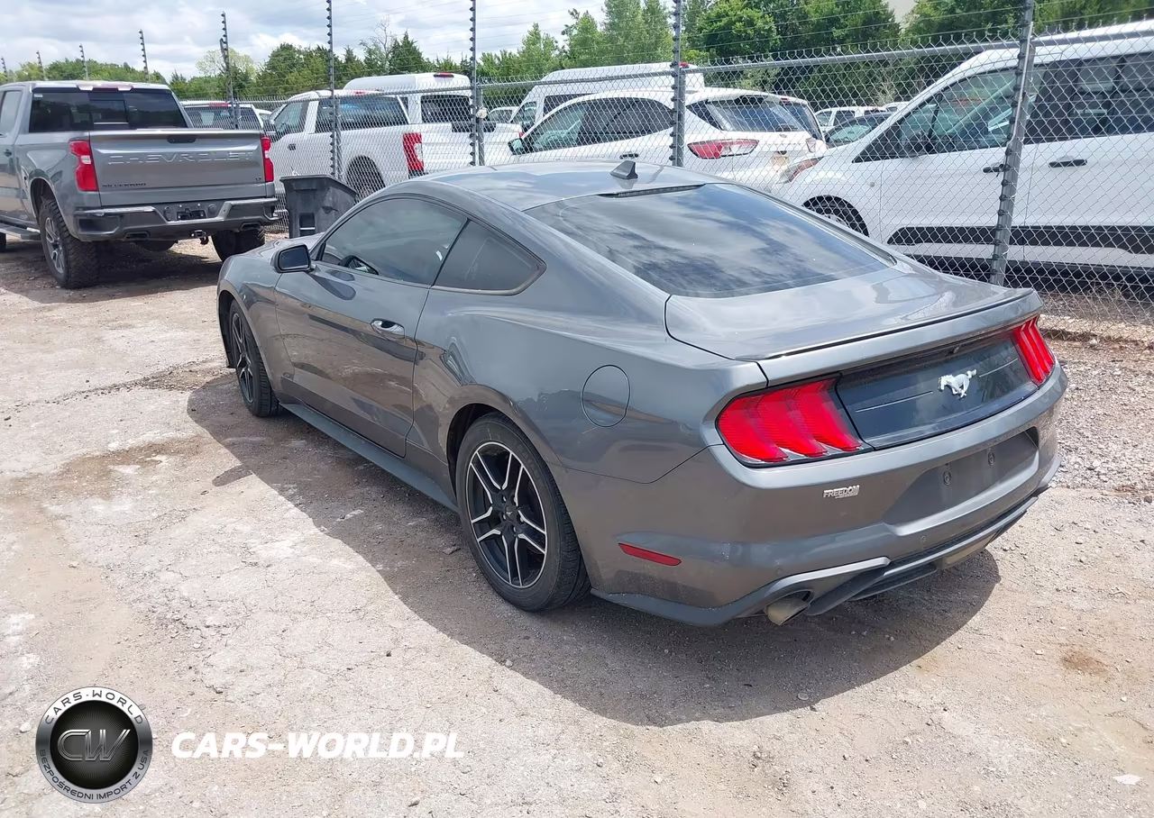 2021 Ford Mustang Ecoboost Fastback-Ecoboost Premium Fastback VIN:1FA6P8TH1M5107465 - 3