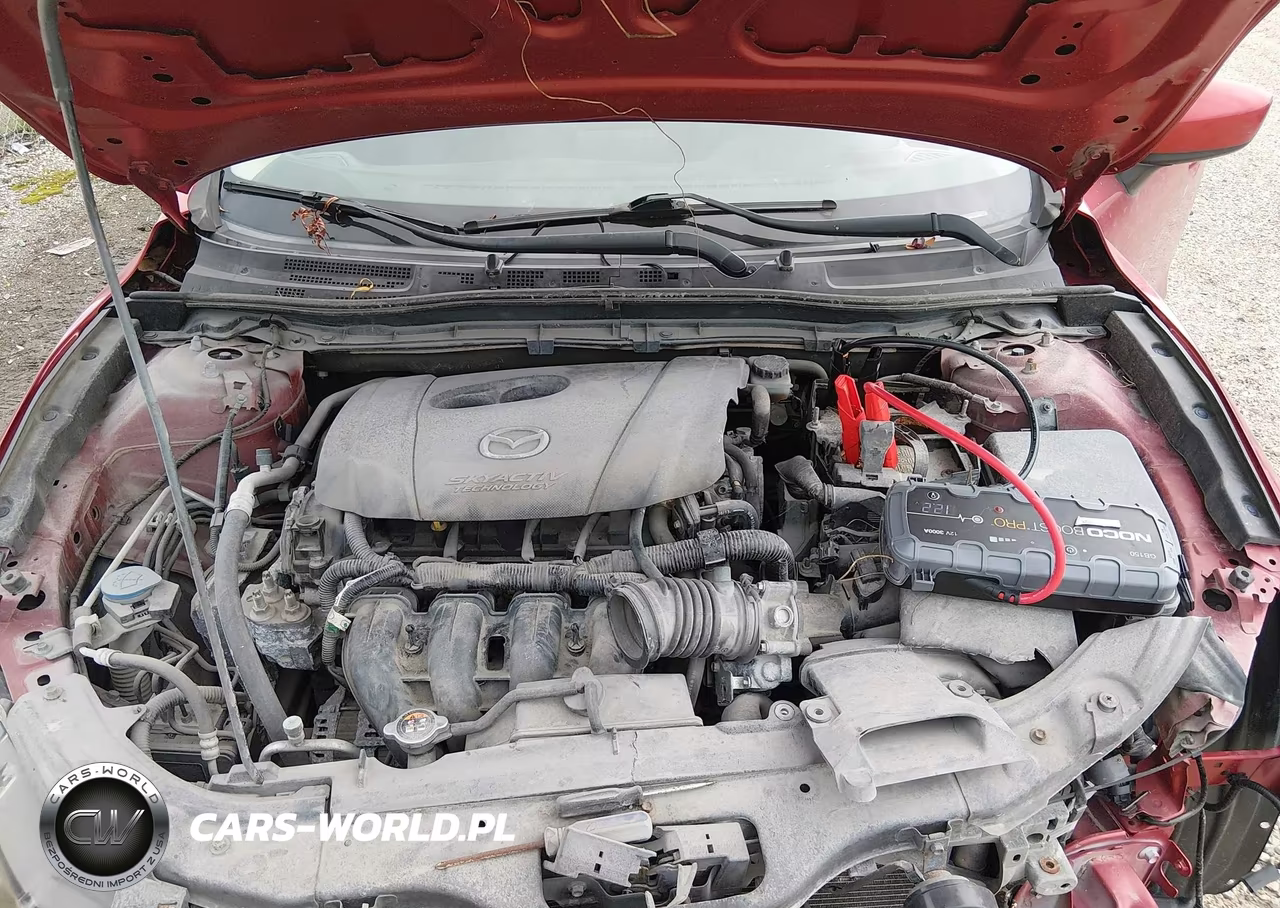 2014 Mazda Mazda3 I Sport VIN:JM1BM1U72E1111256 - 10