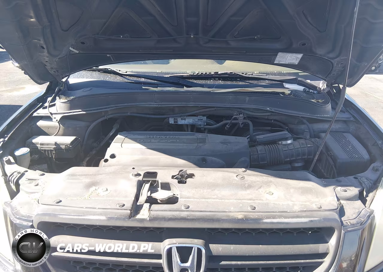 2004 Honda Pilot Ex-L VIN:2HKYF18784H622007 - 10