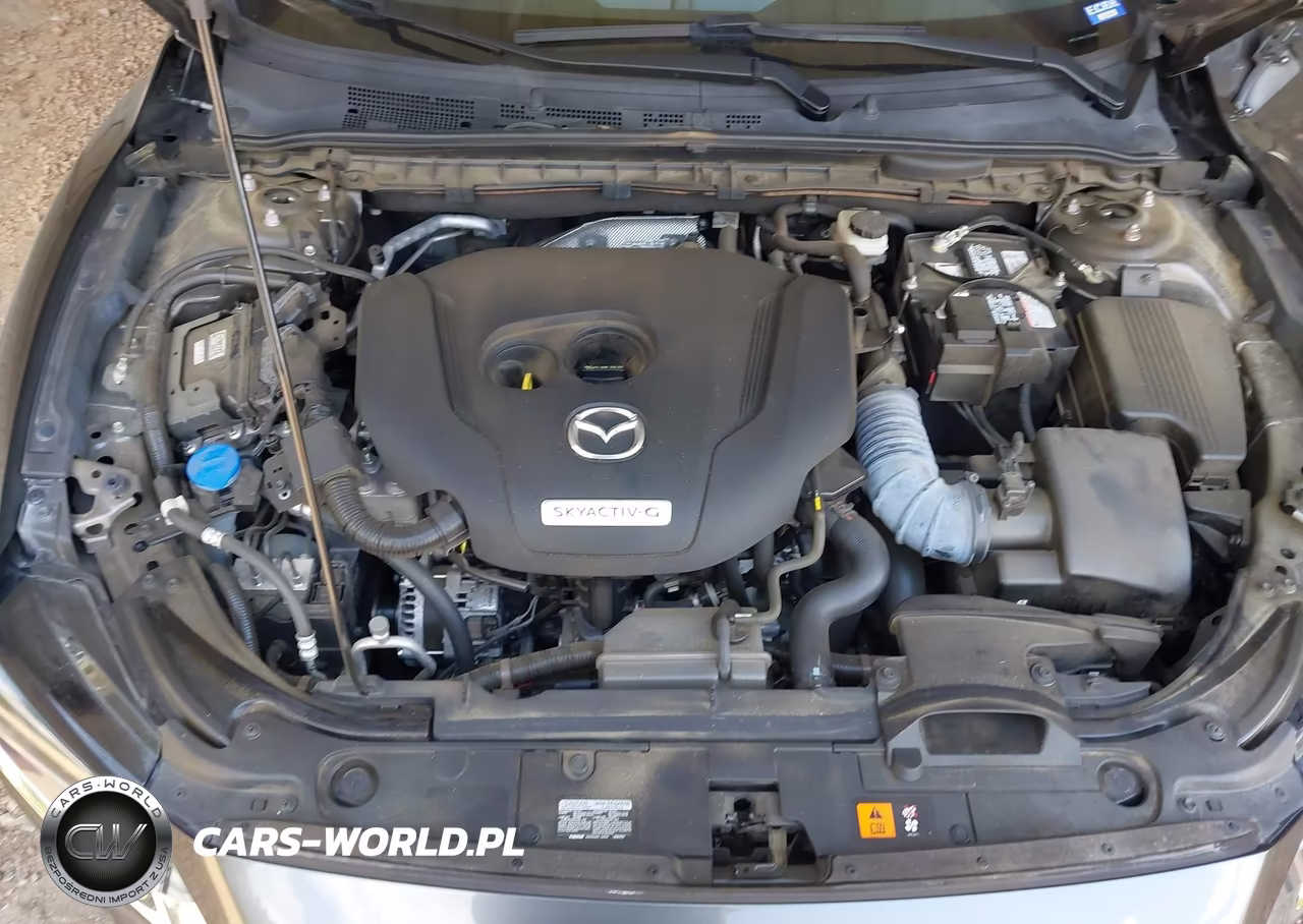 2020 Mazda Mazda6 Grand Touring Reserve VIN:JM1GL1WY6L1526933 - 10
