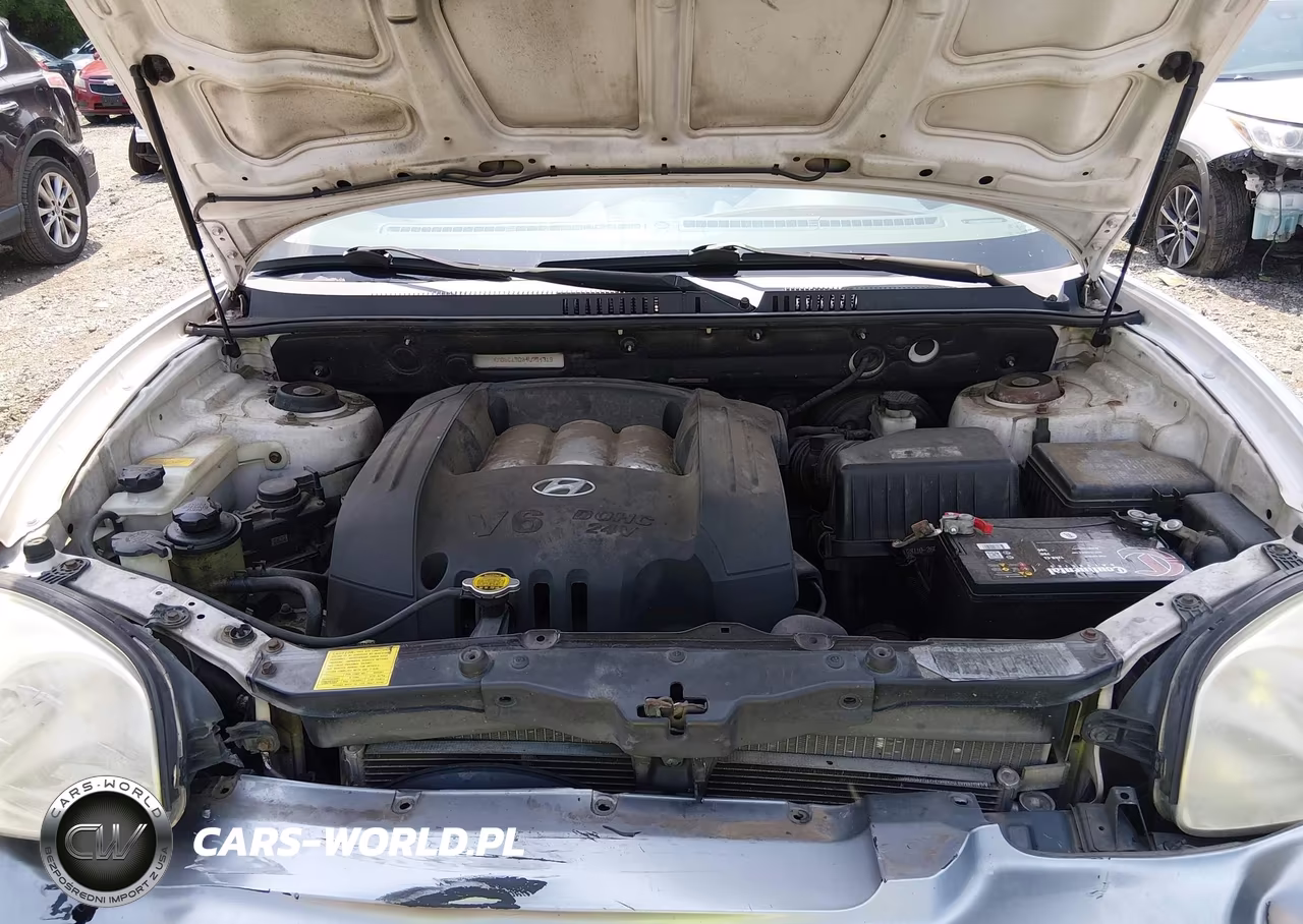 2004 Hyundai Santa Fe Gls VIN:KM8SC13D04U754319 - 10