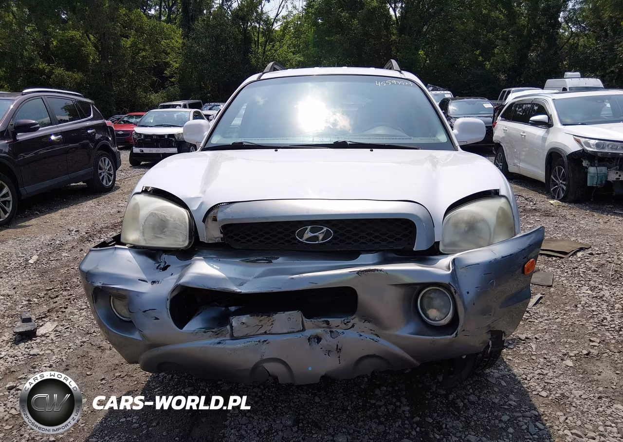 2004 Hyundai Santa Fe Gls VIN:KM8SC13D04U754319 - 12