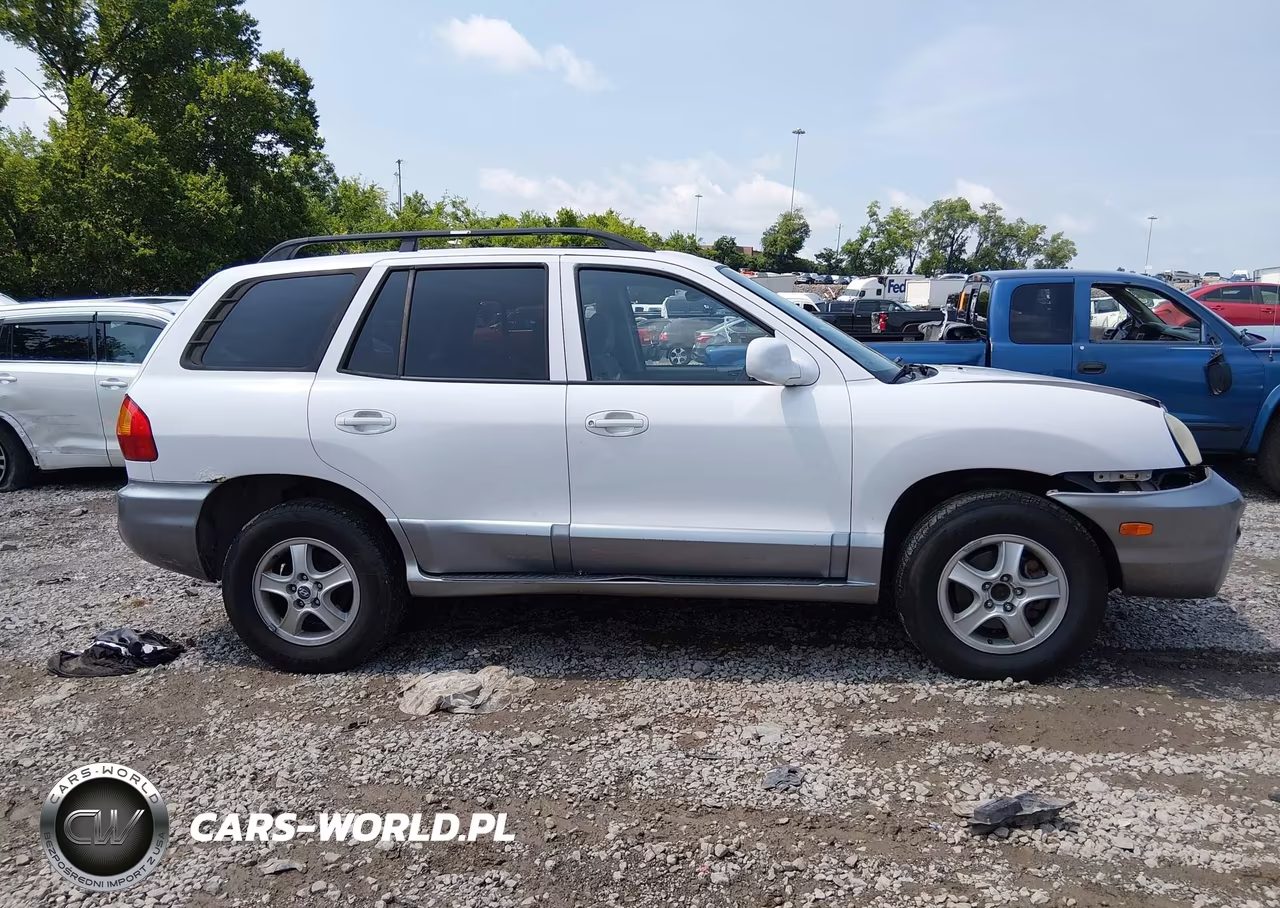 2004 Hyundai Santa Fe Gls VIN:KM8SC13D04U754319 - 13