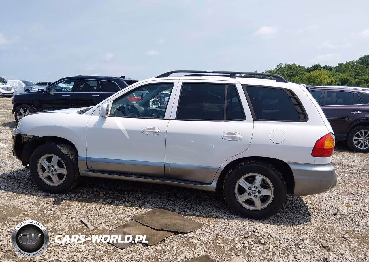 2004 Hyundai Santa Fe Gls VIN:KM8SC13D04U754319 - 14