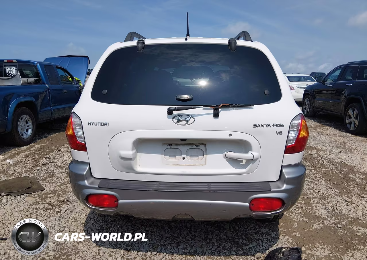 2004 Hyundai Santa Fe Gls VIN:KM8SC13D04U754319 - 16