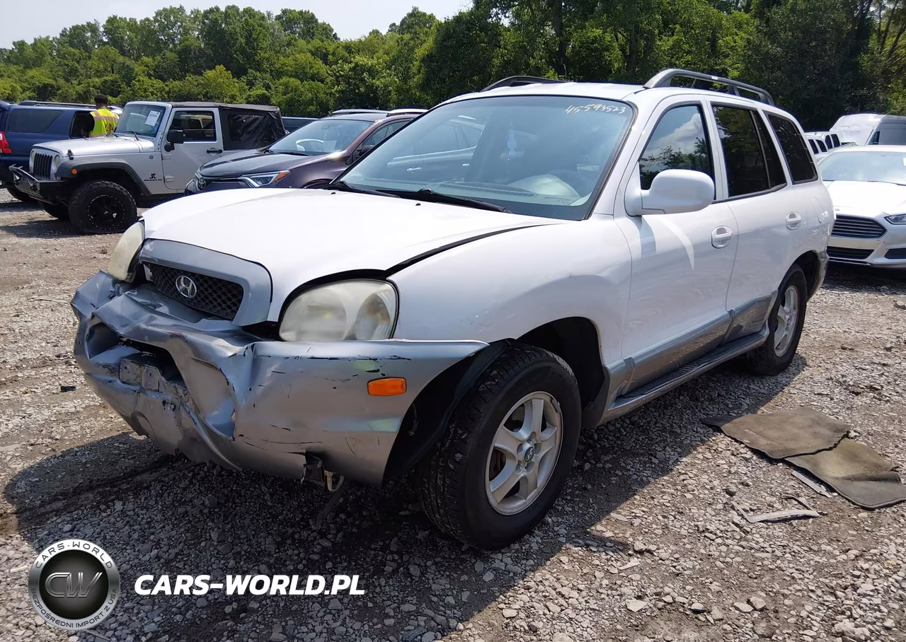 2004 Hyundai Santa Fe Gls VIN:KM8SC13D04U754319 - 2