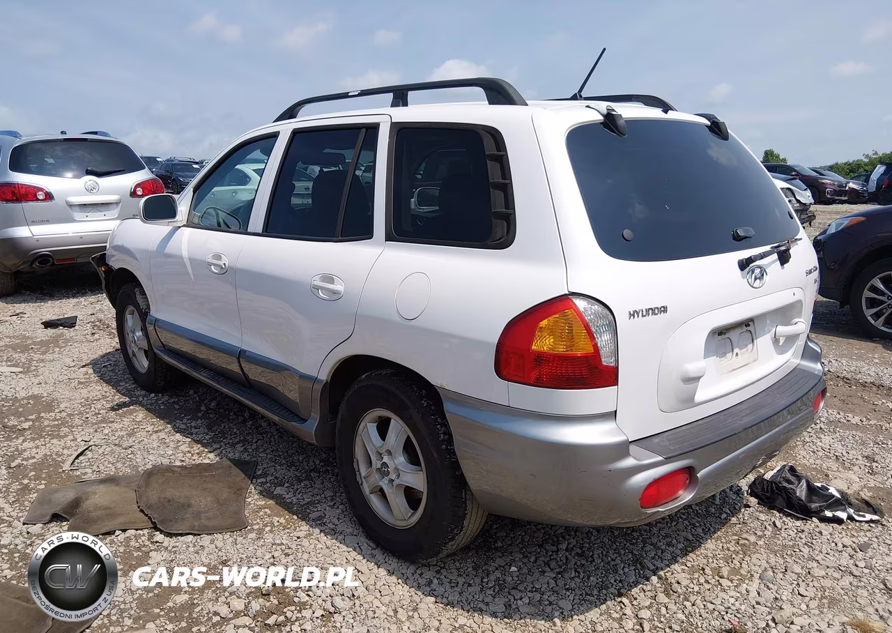 2004 Hyundai Santa Fe Gls VIN:KM8SC13D04U754319 - 3