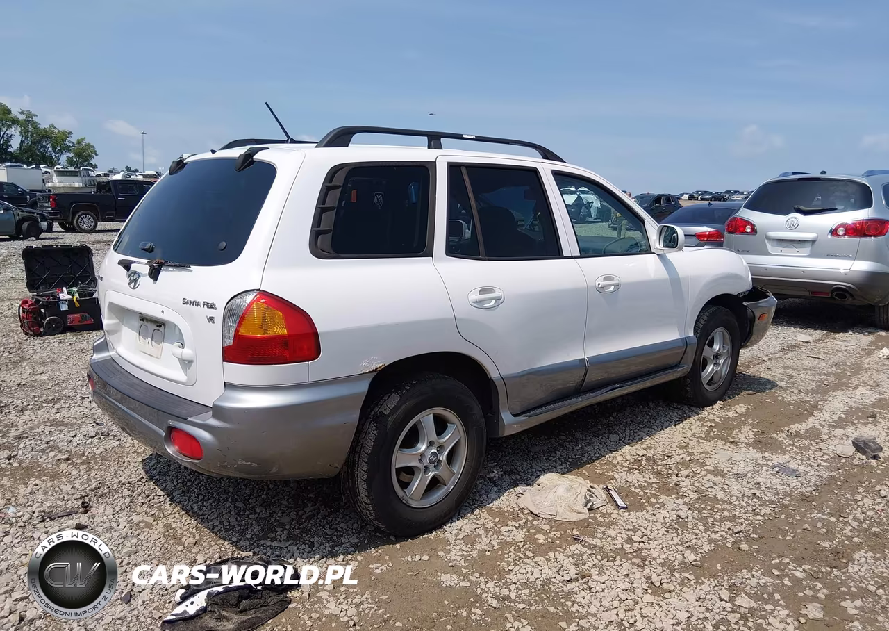 2004 Hyundai Santa Fe Gls VIN:KM8SC13D04U754319 - 4