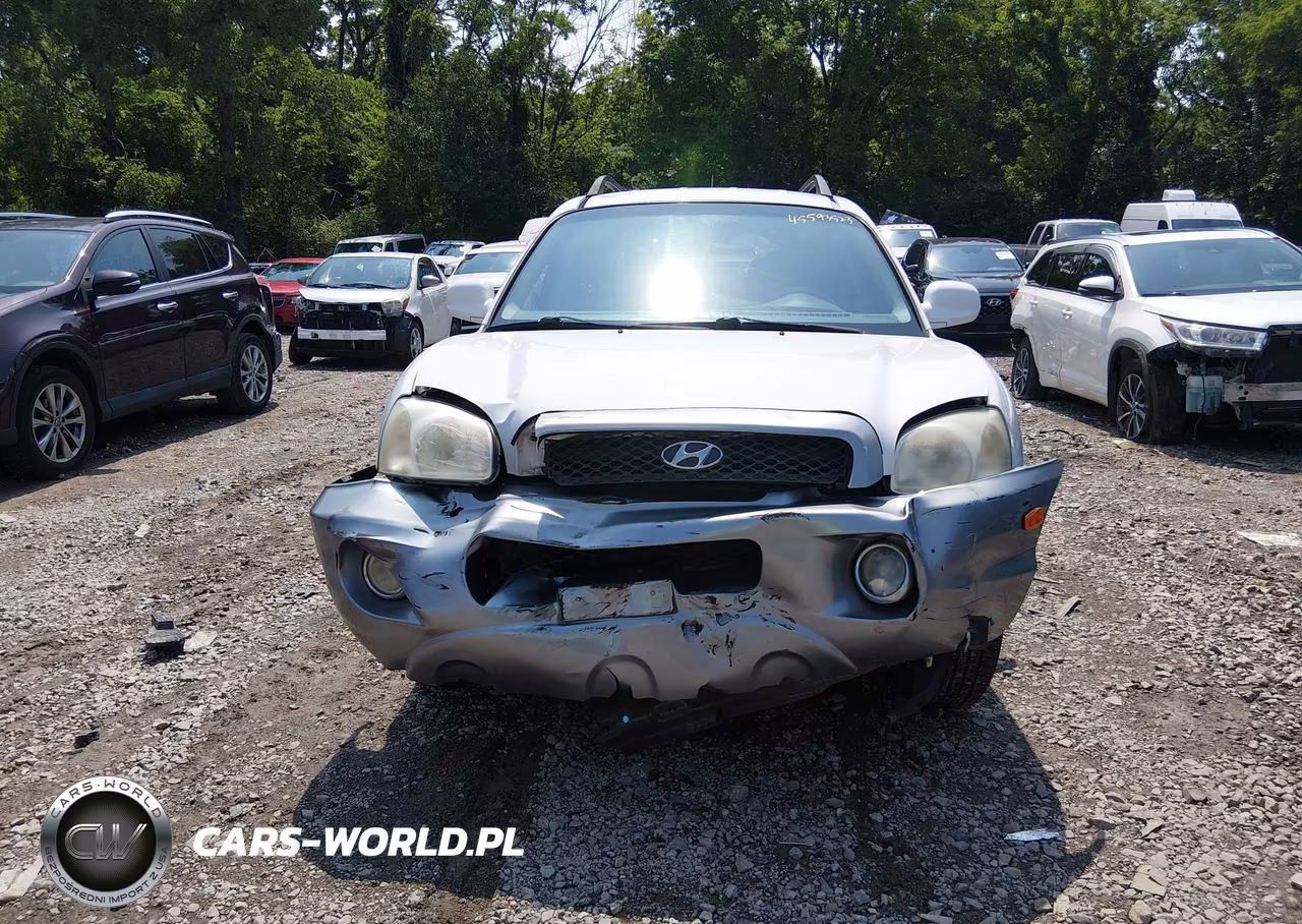 2004 Hyundai Santa Fe Gls VIN:KM8SC13D04U754319 - 6