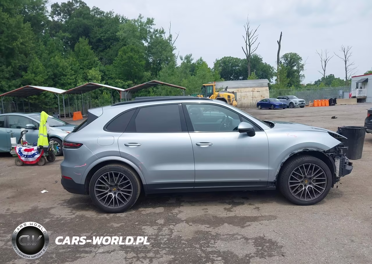 2020 Porsche Cayenne VIN:WP1AA2AY3LDA01463 - 14