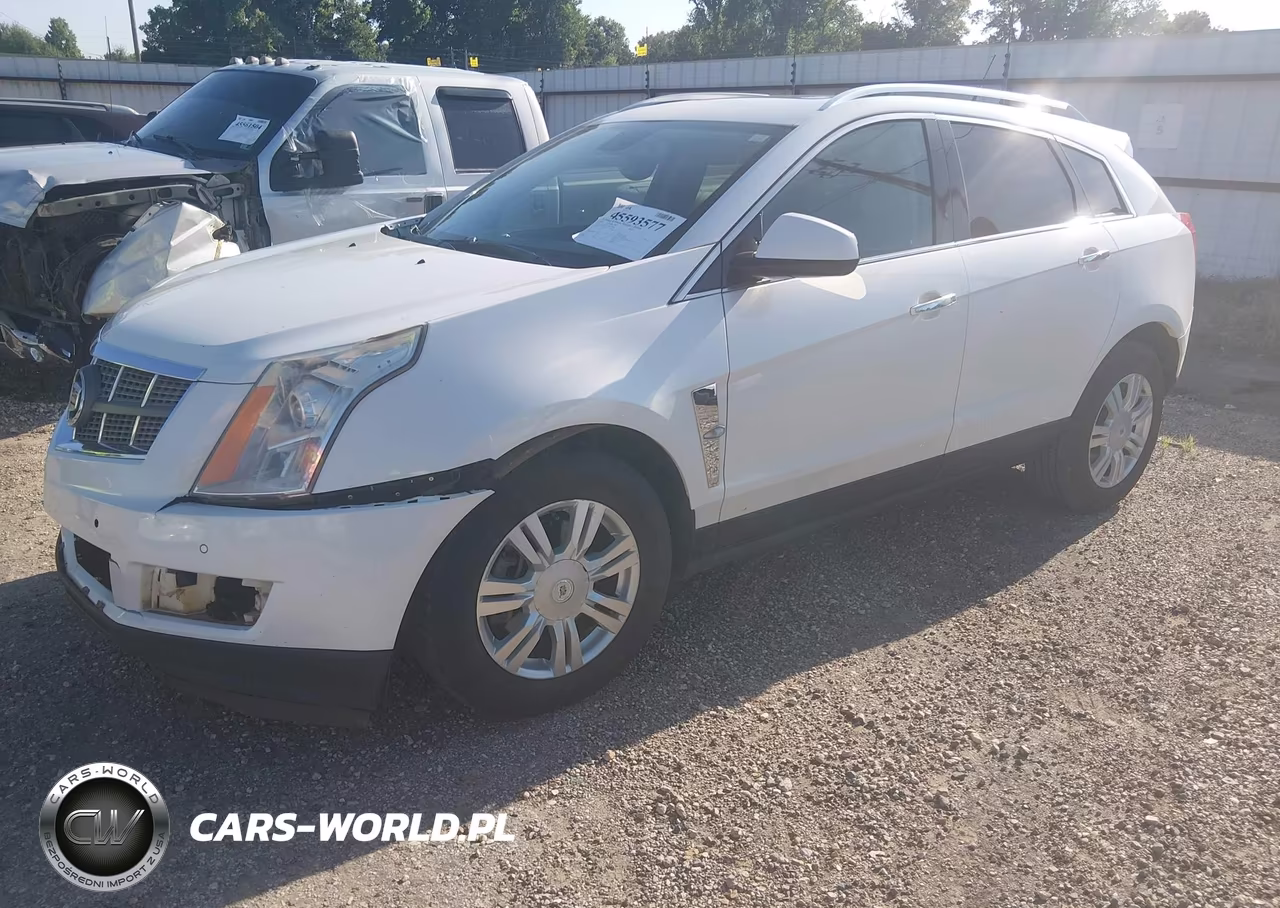 2010 Cadillac Srx Luxury Collection VIN:3GYFNAEY9AS557638 - 2